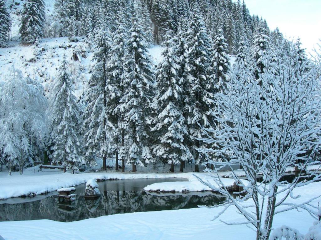 Hotel Evianquelle Bad Gastein Kültér fotó